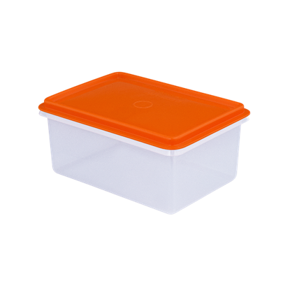 Foto de CAJA Nº 3 CONTAINER 1.1 LT. BASA